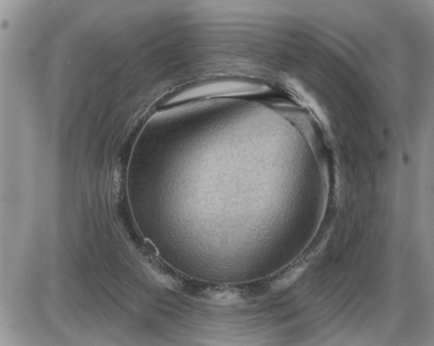 X0000087590113200705041519