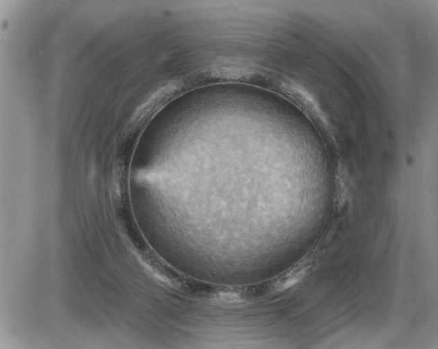 X0000087590114200705041519