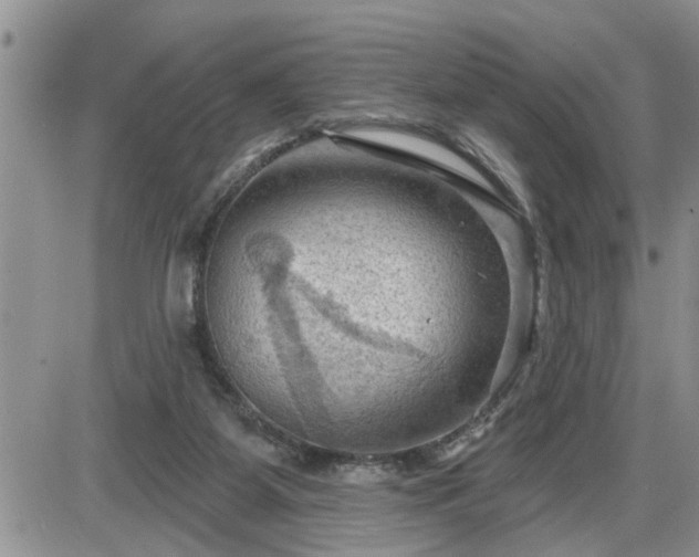 X0000087590115200705041519