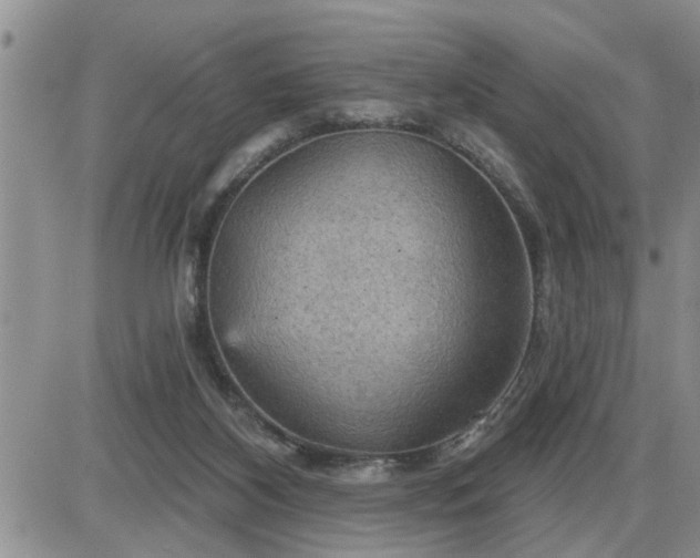 X0000087590116200705041519