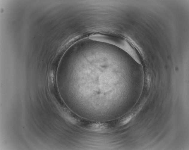 X0000087590117200705041519