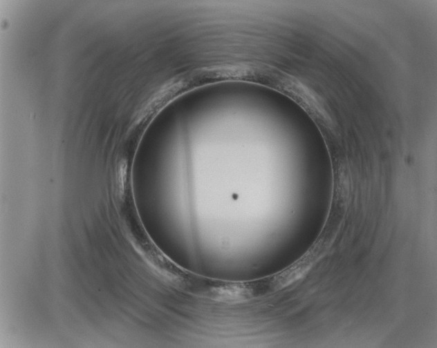 X0000087590118200705041519