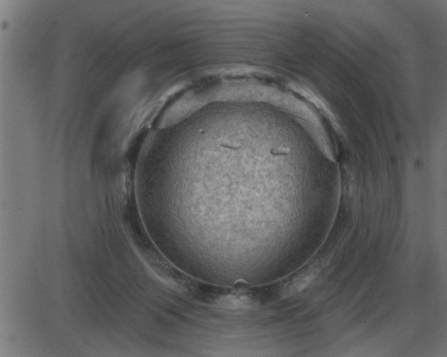 X0000087590119200705041519