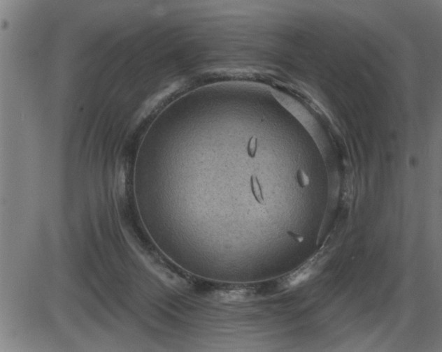 X0000087590120200705041519