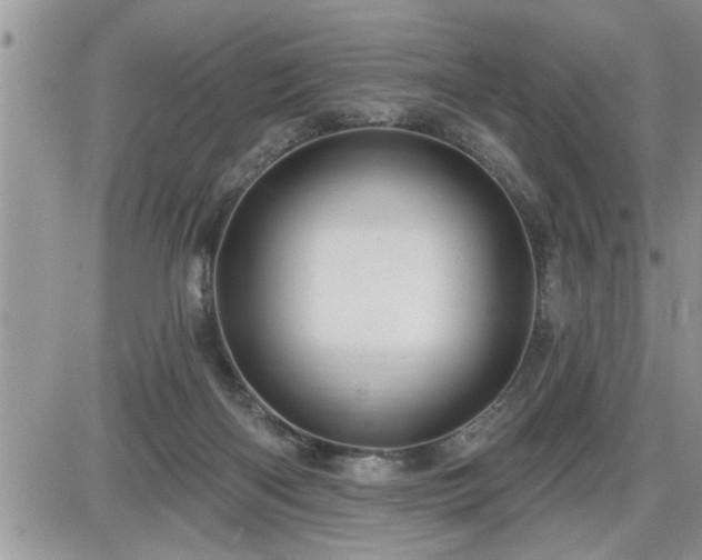 X0000087590122200705041519