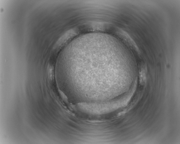 X0000087590123200705041519