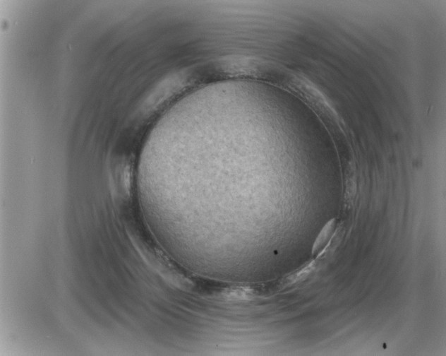 X0000087590124200705041519