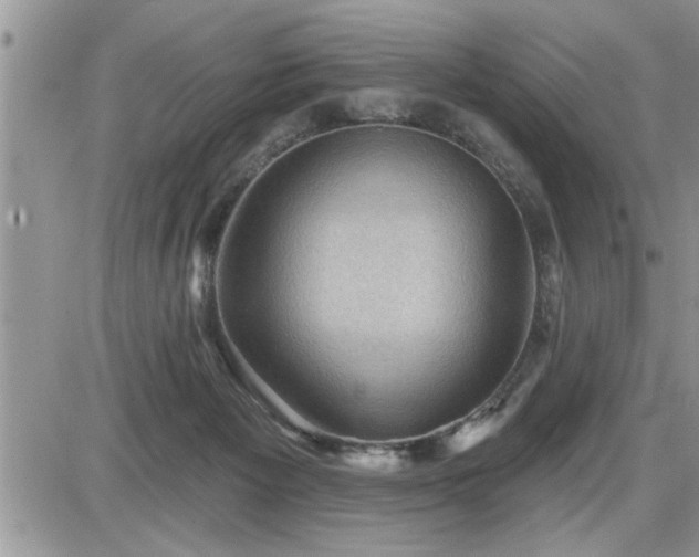 X0000087590125200705041518