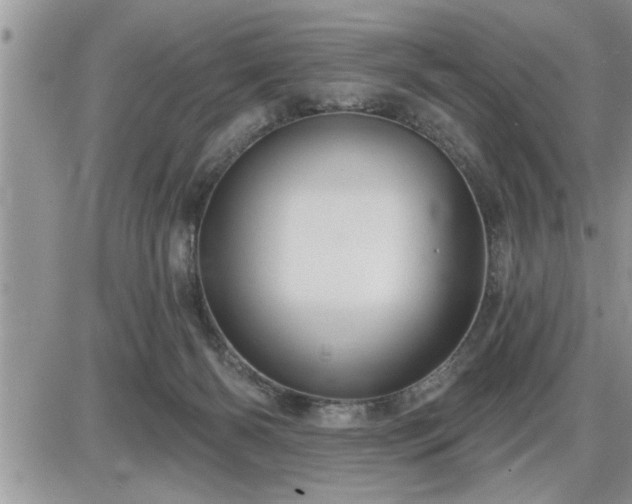 X0000087590126200705041518