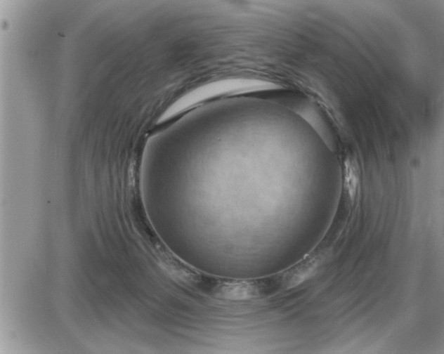 X0000087590127200705041518