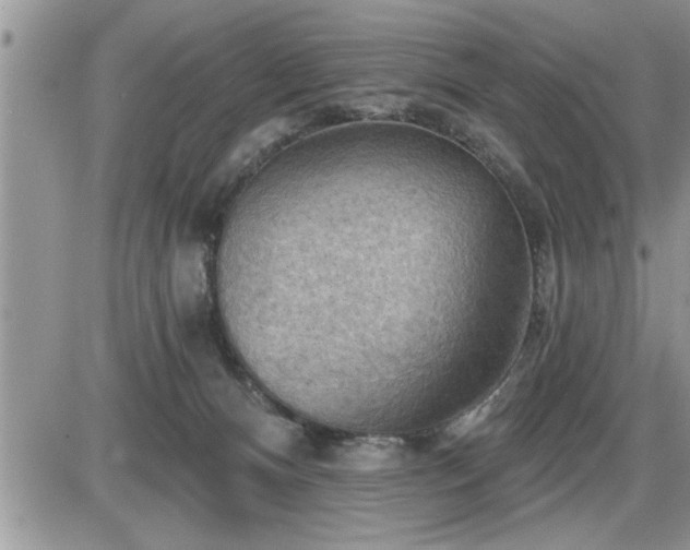 X0000087590128200705041518