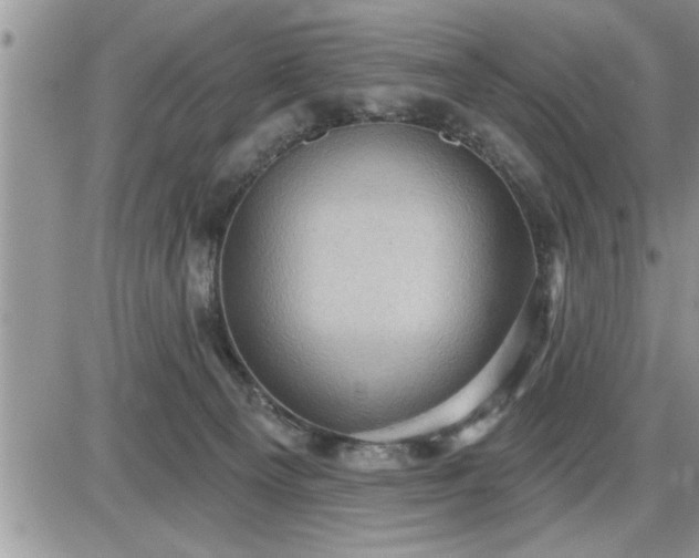 X0000087590129200705041518