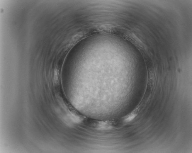 X0000087590130200705041518