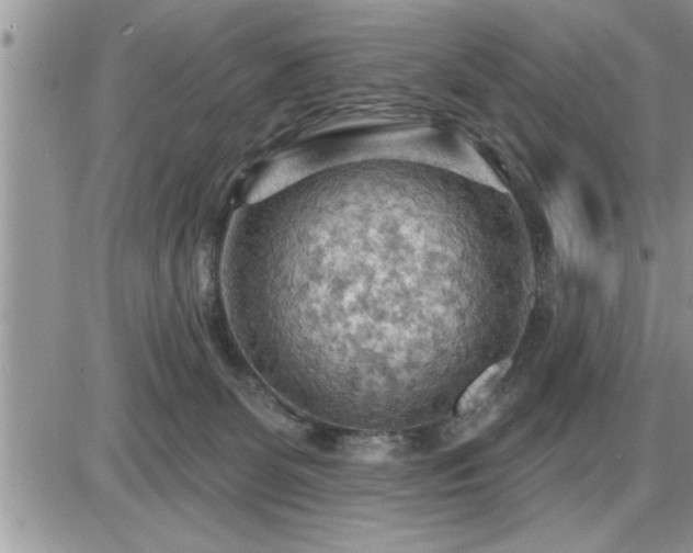 X0000087590131200705041518