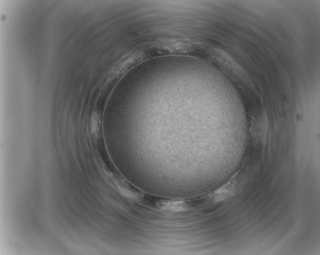 X0000087590132200705041518