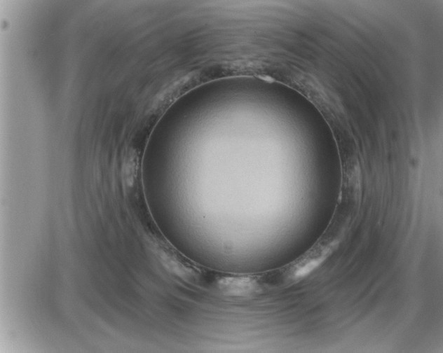 X0000087590133200705041518