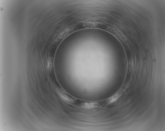 X0000087590134200705041518