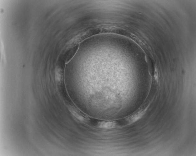 X0000087590135200705041518