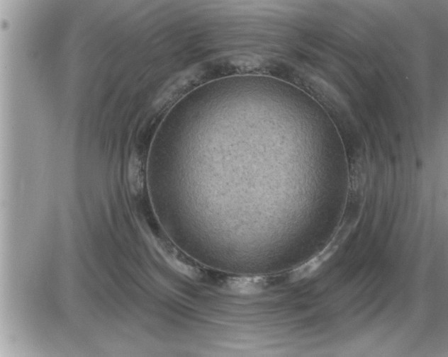 X0000087590136200705041518