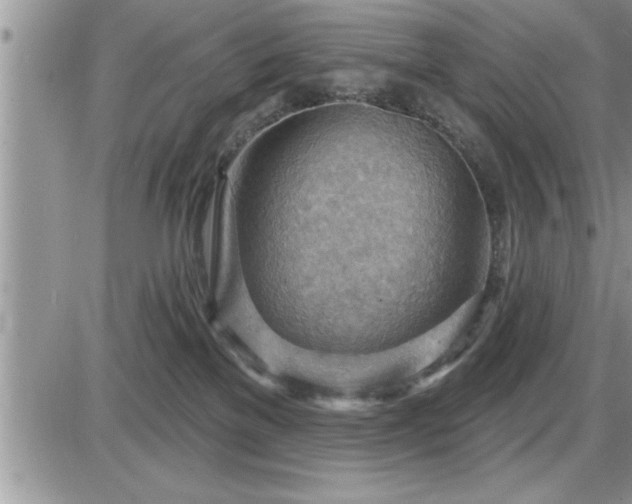 X0000087590137200705041518