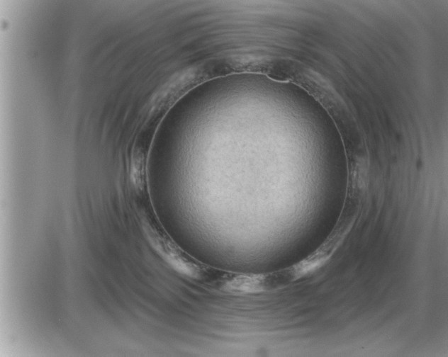 X0000087590138200705041518