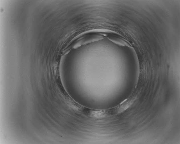 X0000087590139200705041518