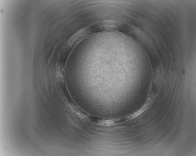 X0000087590140200705041518