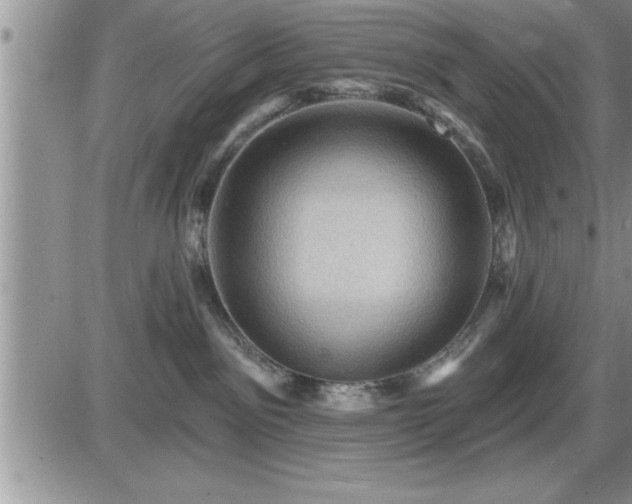 X0000087590141200705041518