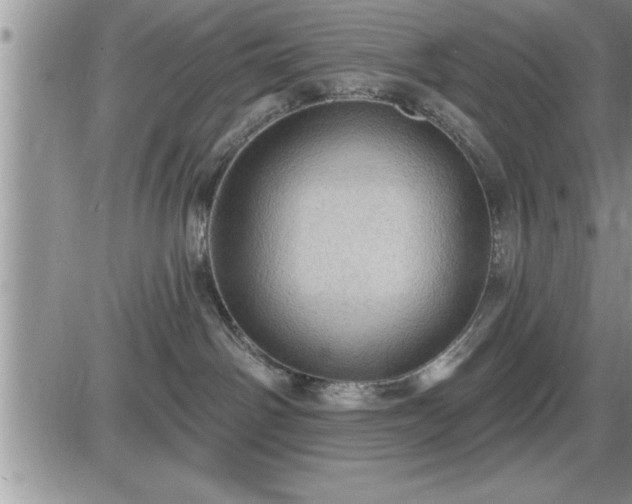 X0000087590142200705041518