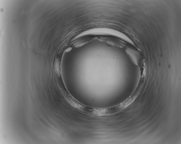 X0000087590143200705041518