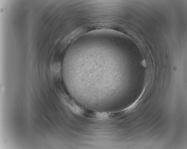 X0000087590144200705041518