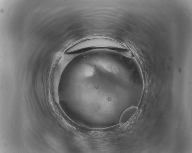 X0000087590145200705041517