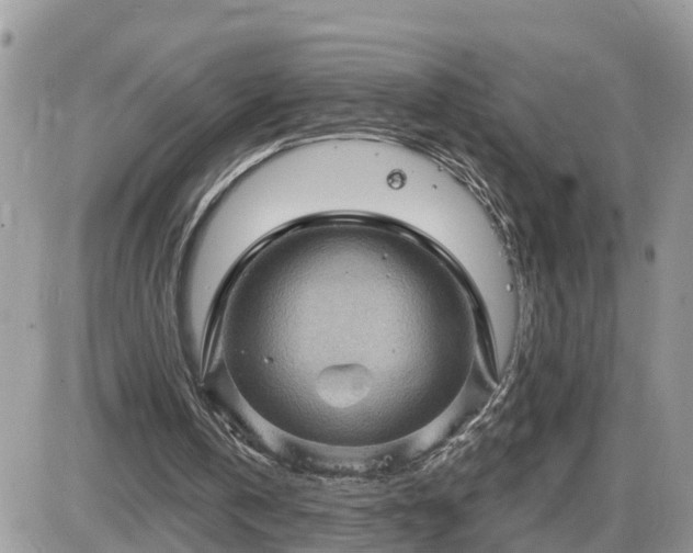 X0000087590146200705041517