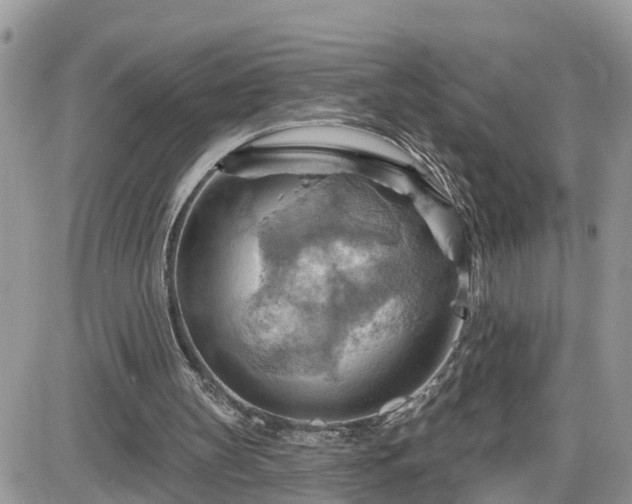 X0000087590147200705041517