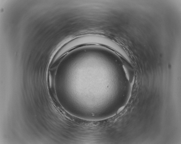 X0000087590148200705041517