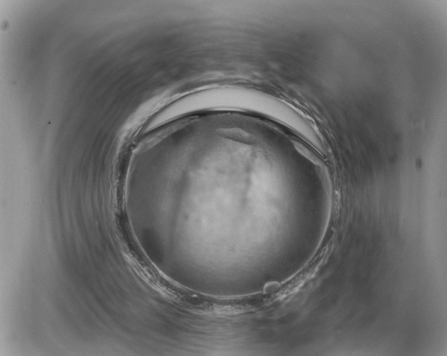 X0000087590149200705041517