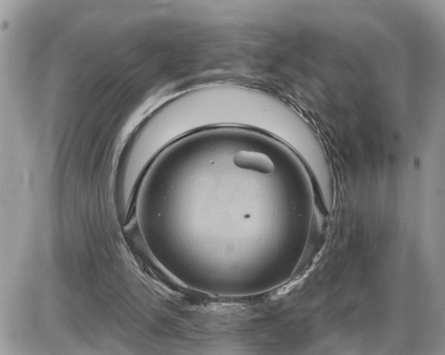 X0000087590150200705041517