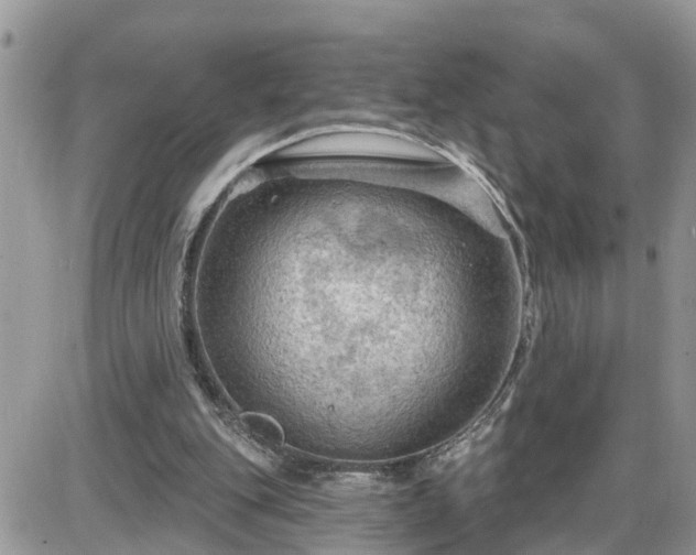 X0000087590151200705041517