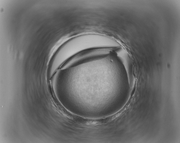 X0000087590152200705041518