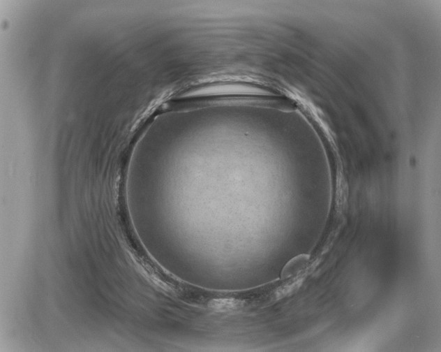 X0000087590153200705041518