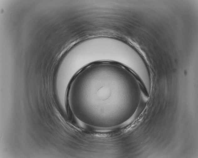 X0000087590154200705041518