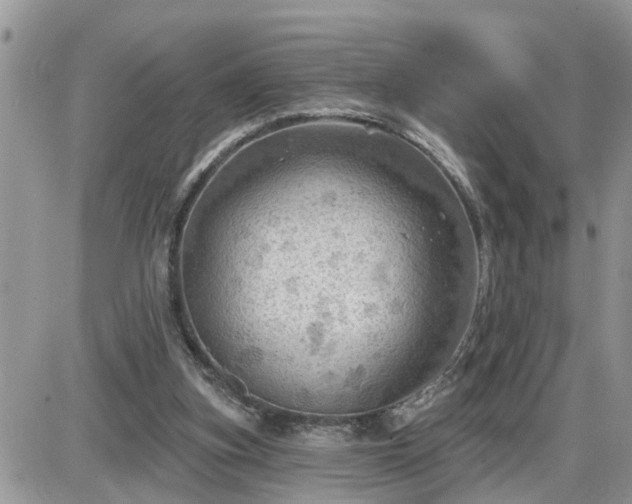 X0000087590155200705041518