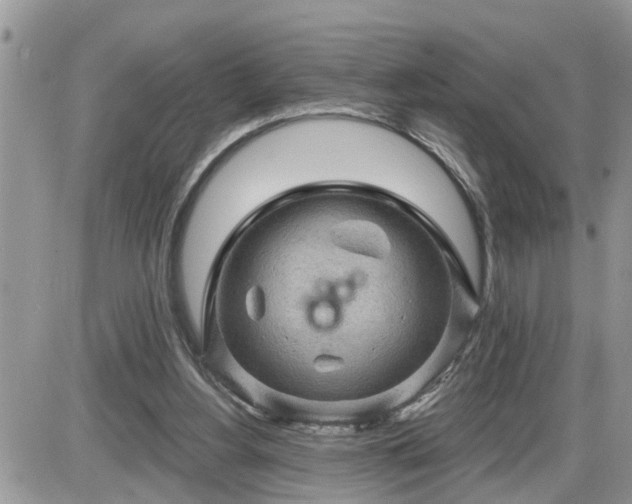 X0000087590156200705041518