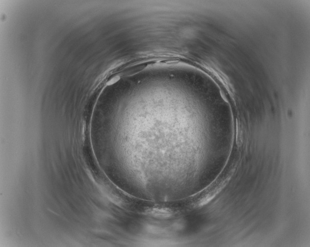 X0000087590157200705041518