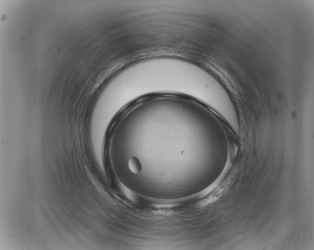 X0000087590158200705041518