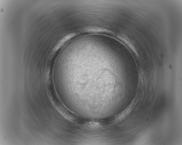 X0000087590159200705041518