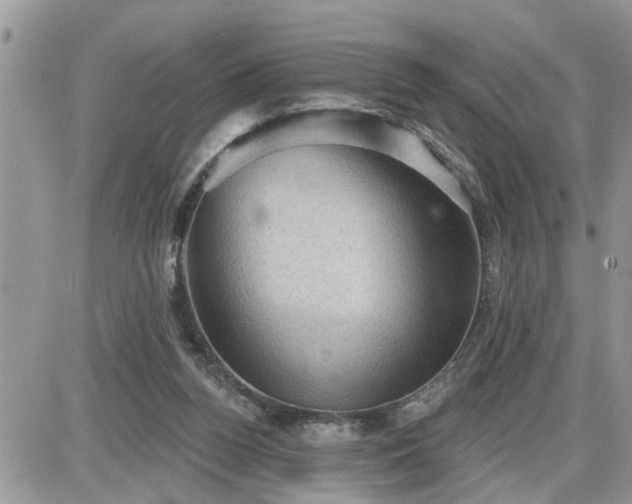 X0000087590160200705041518