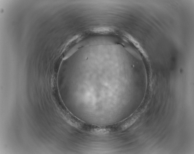 X0000087590161200705041518