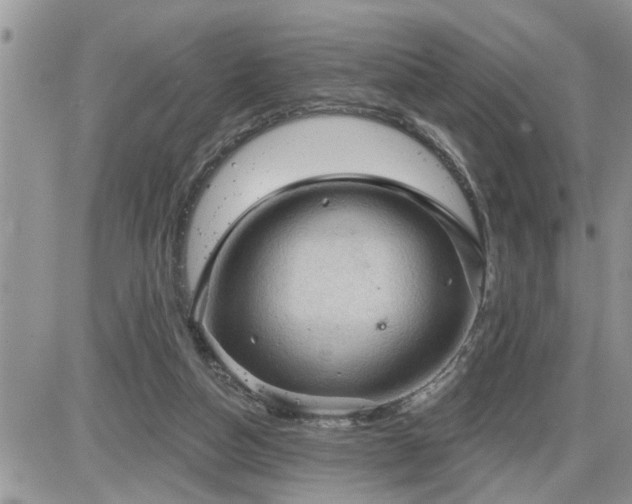 X0000087590162200705041518