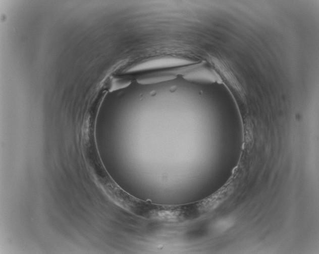 X0000087590163200705041518